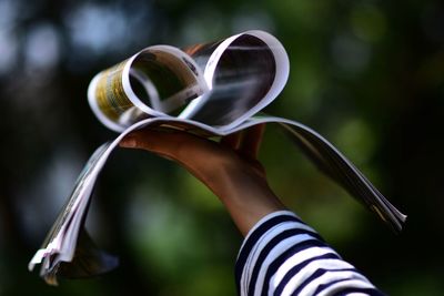 Close-up of hand holding umbrella