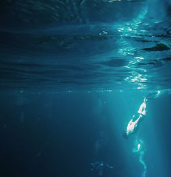 Person swimming in sea