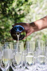 Hand hold wine bottle and pours sparkling wine into glasses at outdoor event. celebrating life