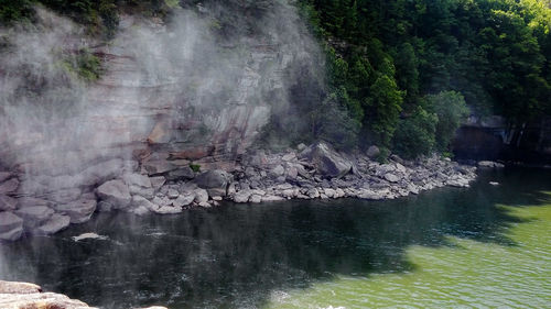 River flowing through forest