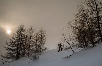Bare tree on snow covered landscape against sky