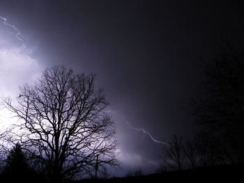 Low angle view of silhouette tree against sky at night