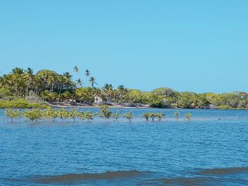 Scenic view of lake against clear blue sky