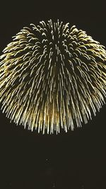 Low angle view of firework display