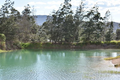 Scenic view of lake by trees against sky