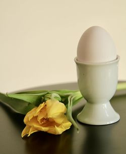 Close-up of yellow rose on table