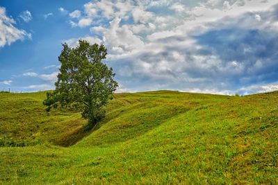 Scenic view of field against sky