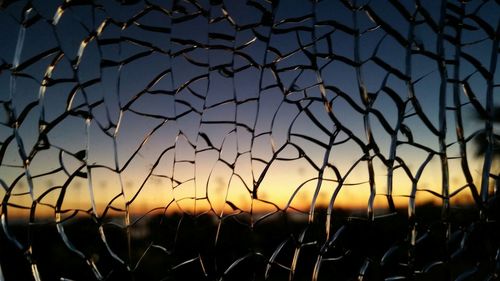 Close-up of chainlink fence