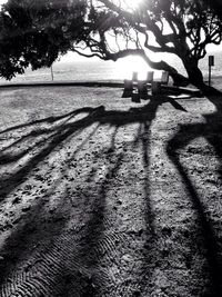 Shadow of people on beach