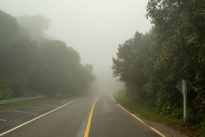 Empty road amidst trees against sky