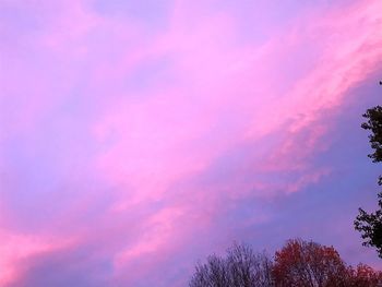 Low angle view of silhouette trees against romantic sky