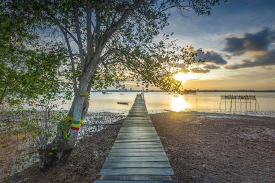 Footpath amidst trees against sky during sunset