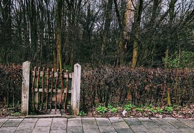 Trees growing outdoors