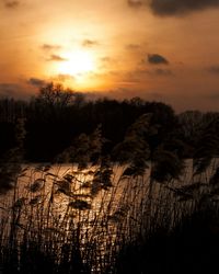 Sunset over landscape