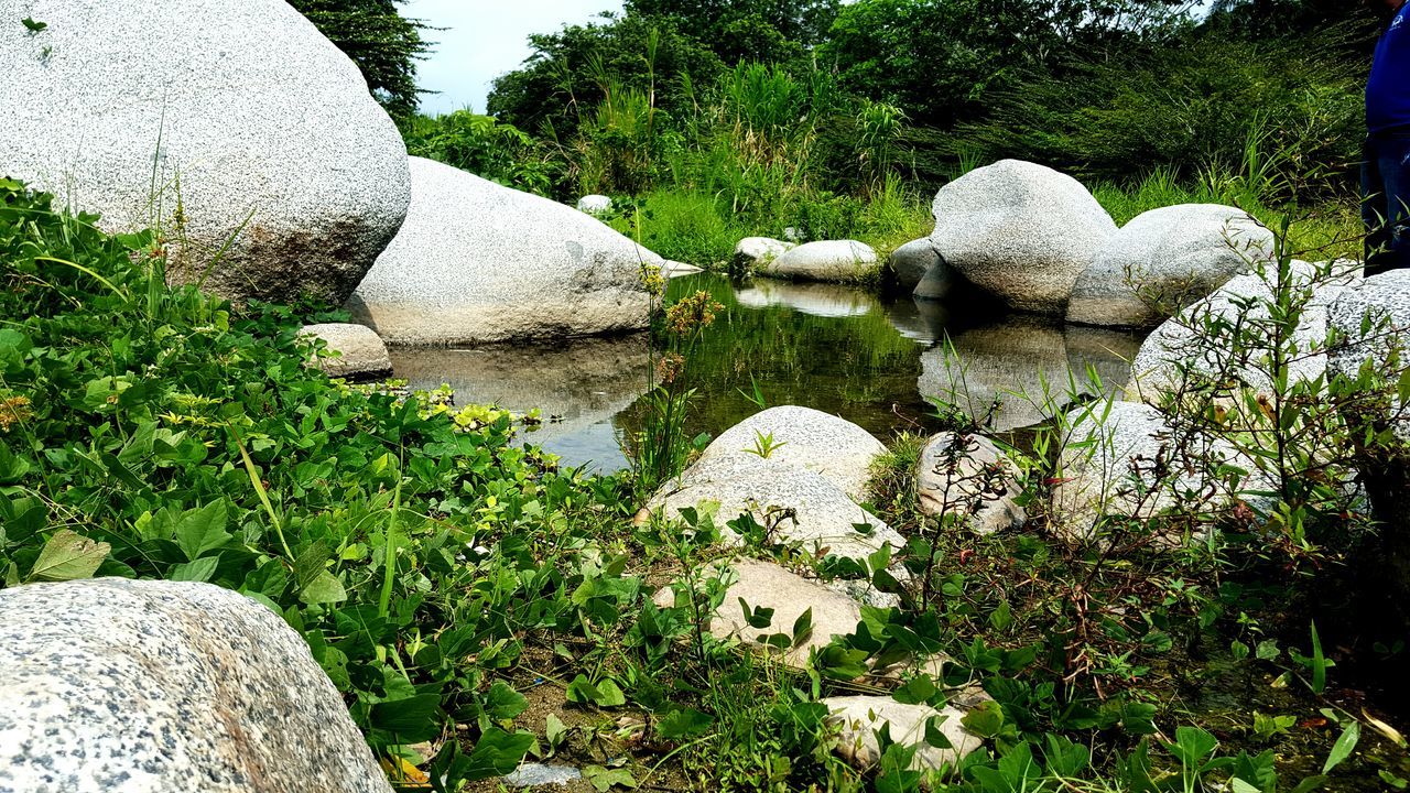 STATUE OF WOMAN IN POND