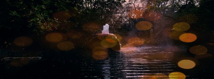 Reflection of woman in lake