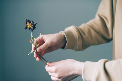 Close-up of hand holding flower