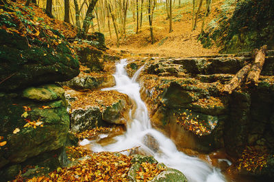 Waterfall in forest during autumn