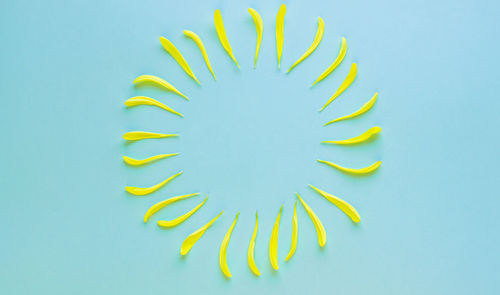 Directly above shot of plant against blue background