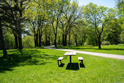 Empty bench in park