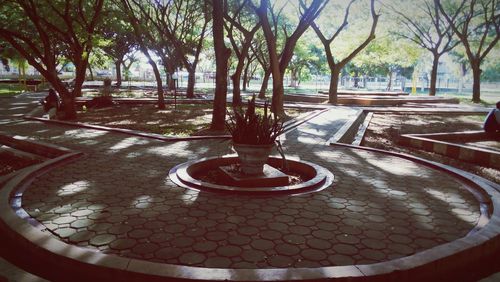 Empty benches in the dark