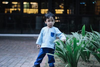 Portrait of cute boy standing by plants outdoors