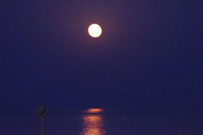 Low angle view of moon against sky at night