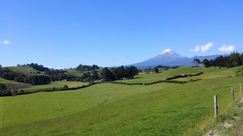 Scenic view of green landscape against blue sky