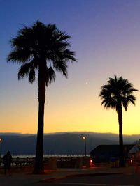 Silhouette of palm trees at sunset