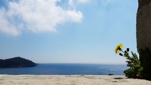 Scenic view of sea against sky