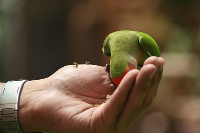 hand