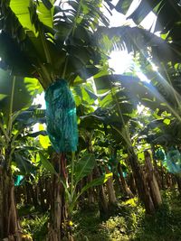 Bird perching on a tree