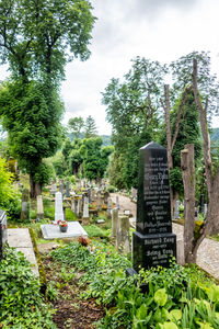 Trees growing in cemetery against sky