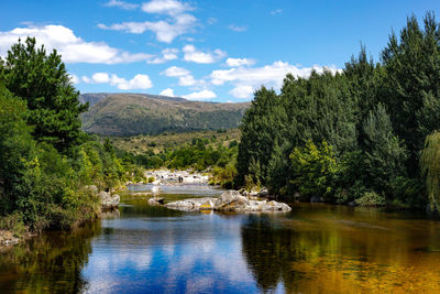 Scenic view of lake by trees against sky