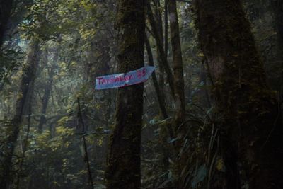 Sign board on tree trunk in forest