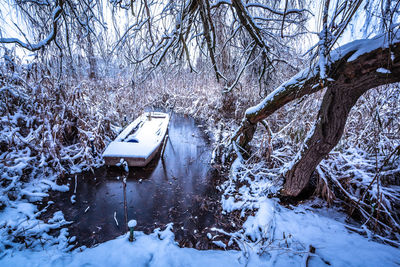 Snow covered tree and boat in frozen lake during winter