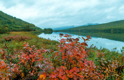 Scenic view of lake against sky during autumn