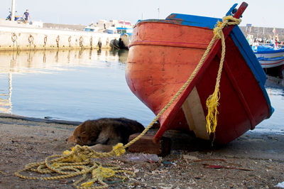 Boat moored at harbor