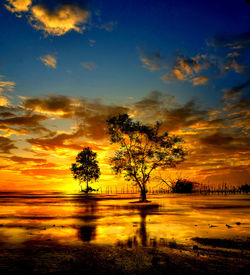 Silhouette trees by lake against sky during sunset