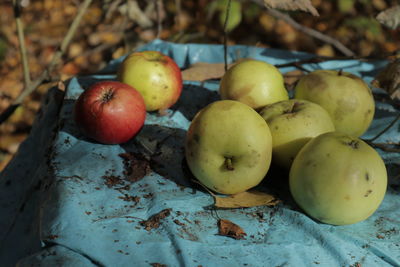 High angle view of apples on table