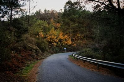 Road amidst trees in forest during autumn