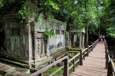 Footpath by trees against building