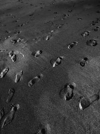 High angle view of footprints on sand at beach