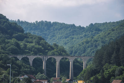 Arch bridge in forest against sky