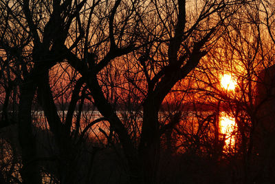 Low angle view of silhouette trees against sky during sunset