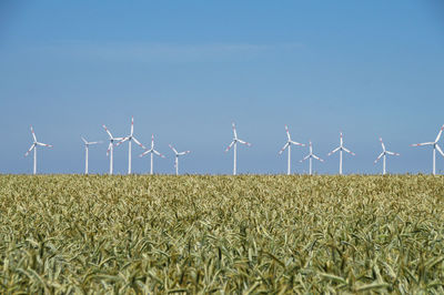 Windmills at farm against blue sky