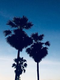 Low angle view of silhouette palm trees against blue sky