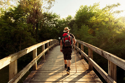 Back view of unrecognizable male wanderer with backpack and wooden stick walking on bridge and enjoying nature during sunset