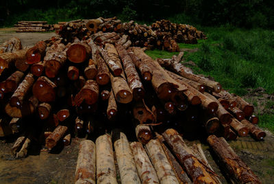 Close-up of rusty stack of logs on field
