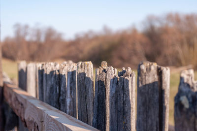 fence